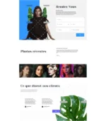 Beauty2 Phlox – Image 2