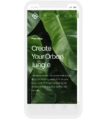 Plants Phlox – Image 6