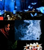 Photographe Elem – Image 2